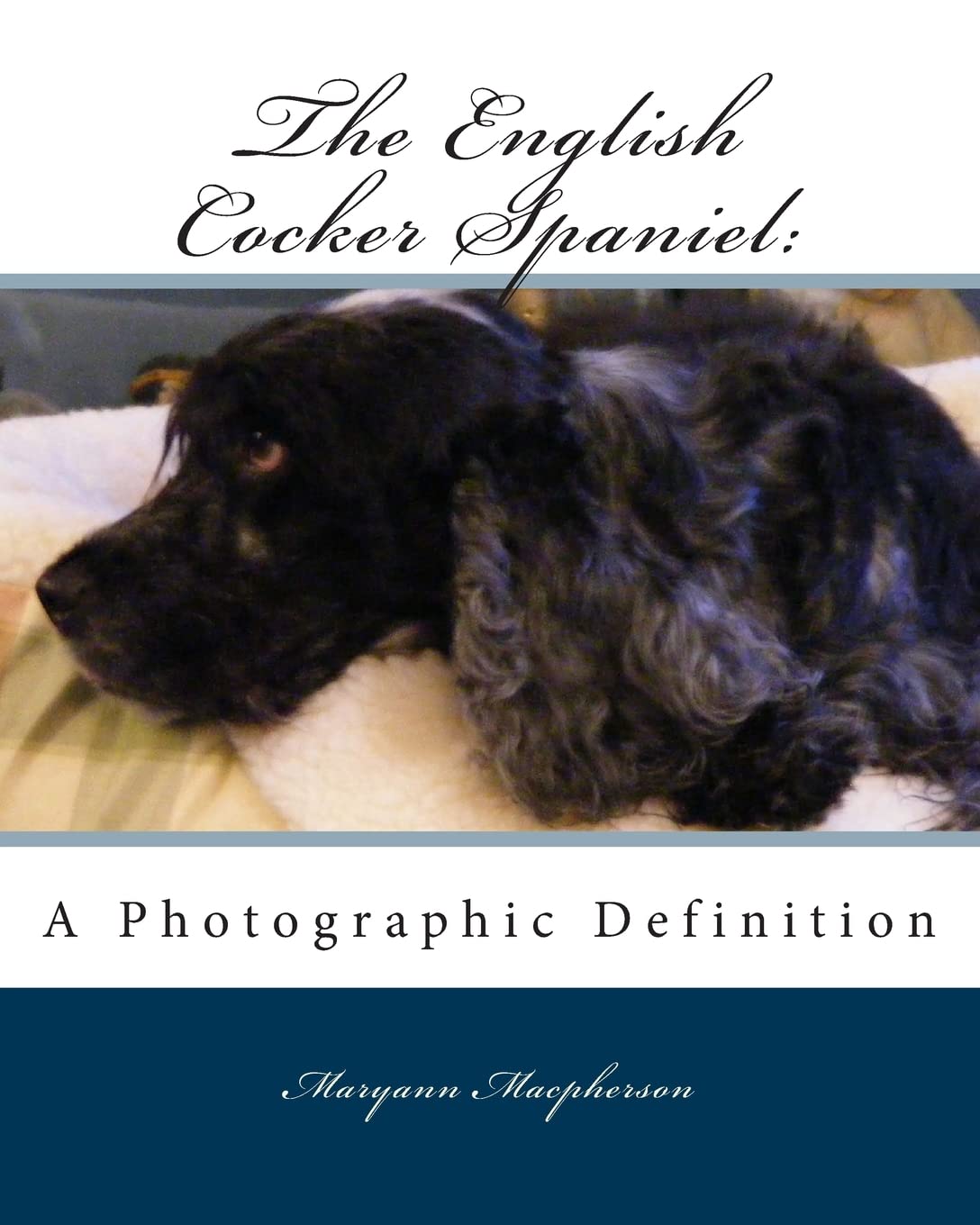 English Cocker Spaniel: A Photographic Definition,Used
