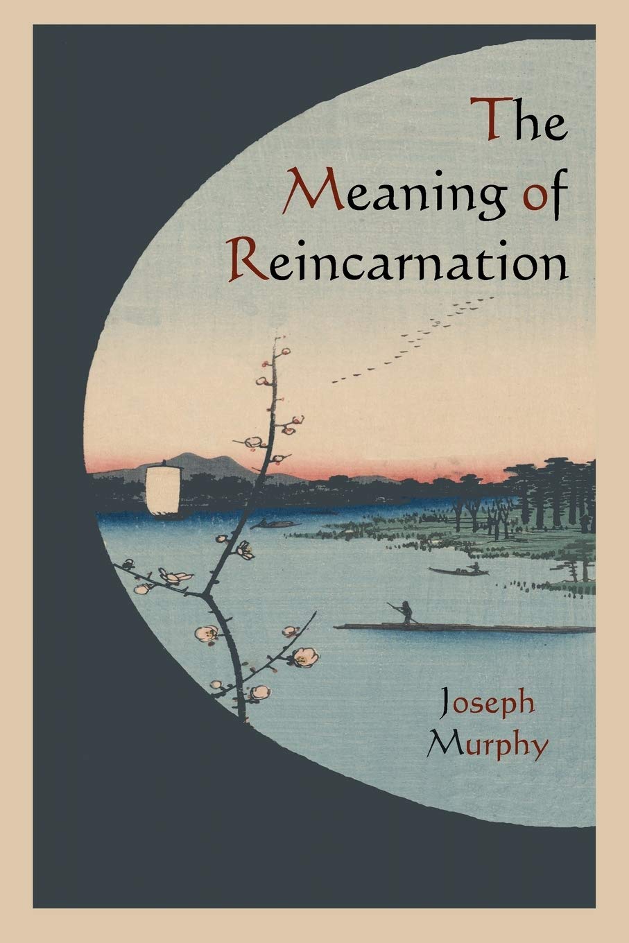 The Meaning of Reincarnation,Used