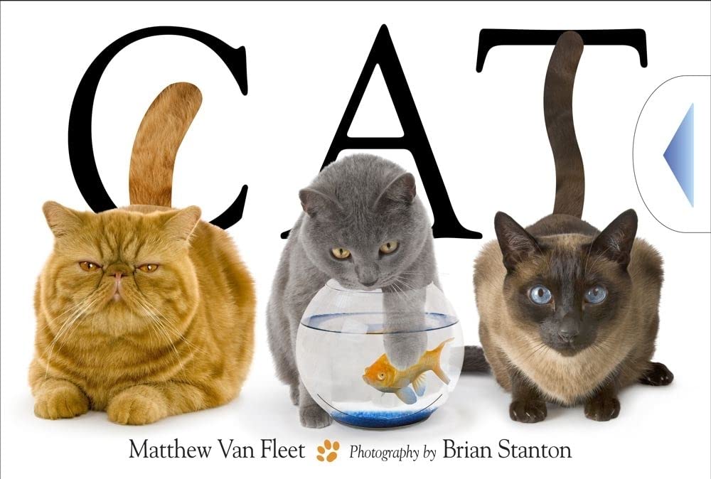 Cat,New
