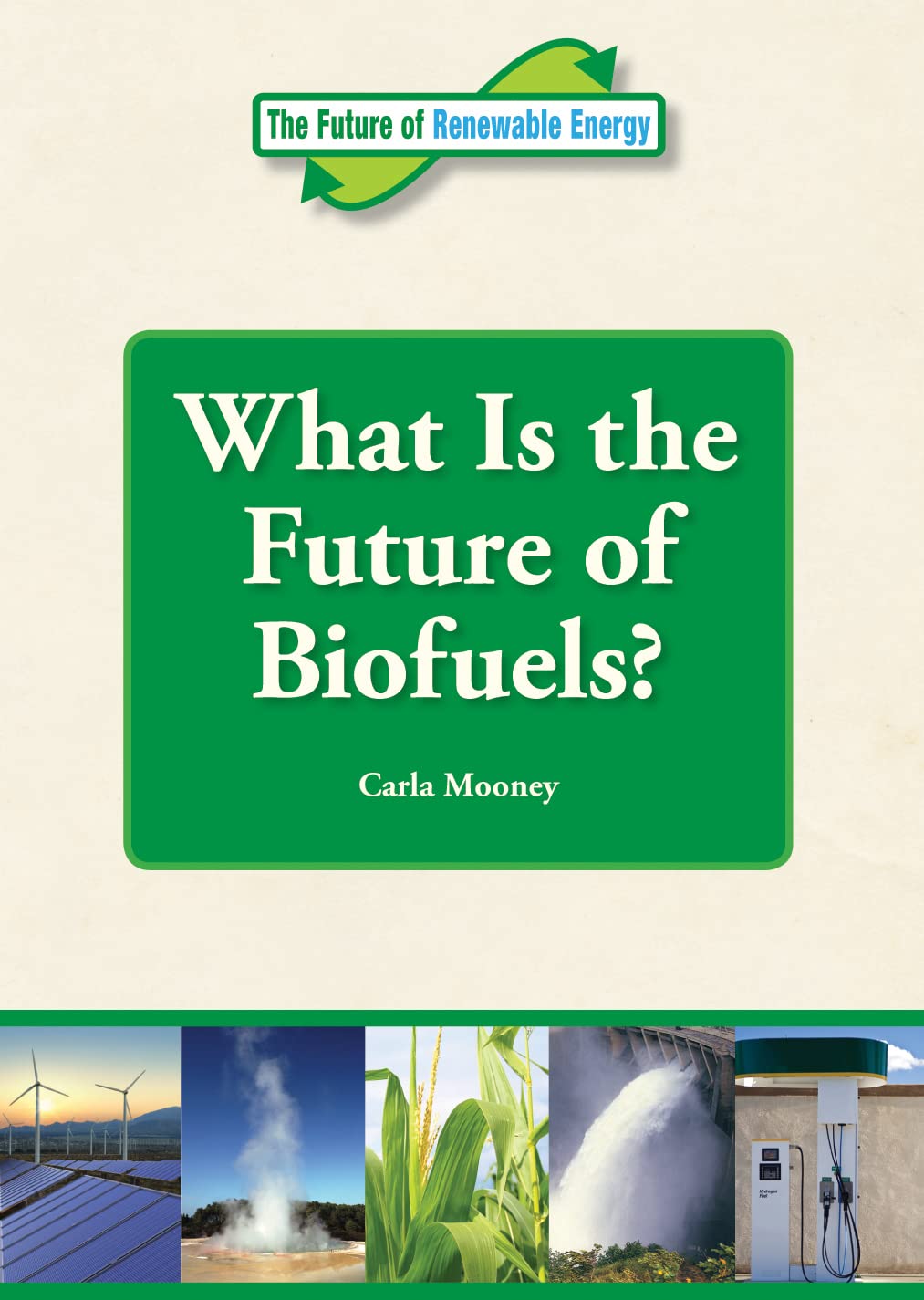 What Is The Future Of Biofuels? (Future Of Renewable Energy (Reference Point)),Used