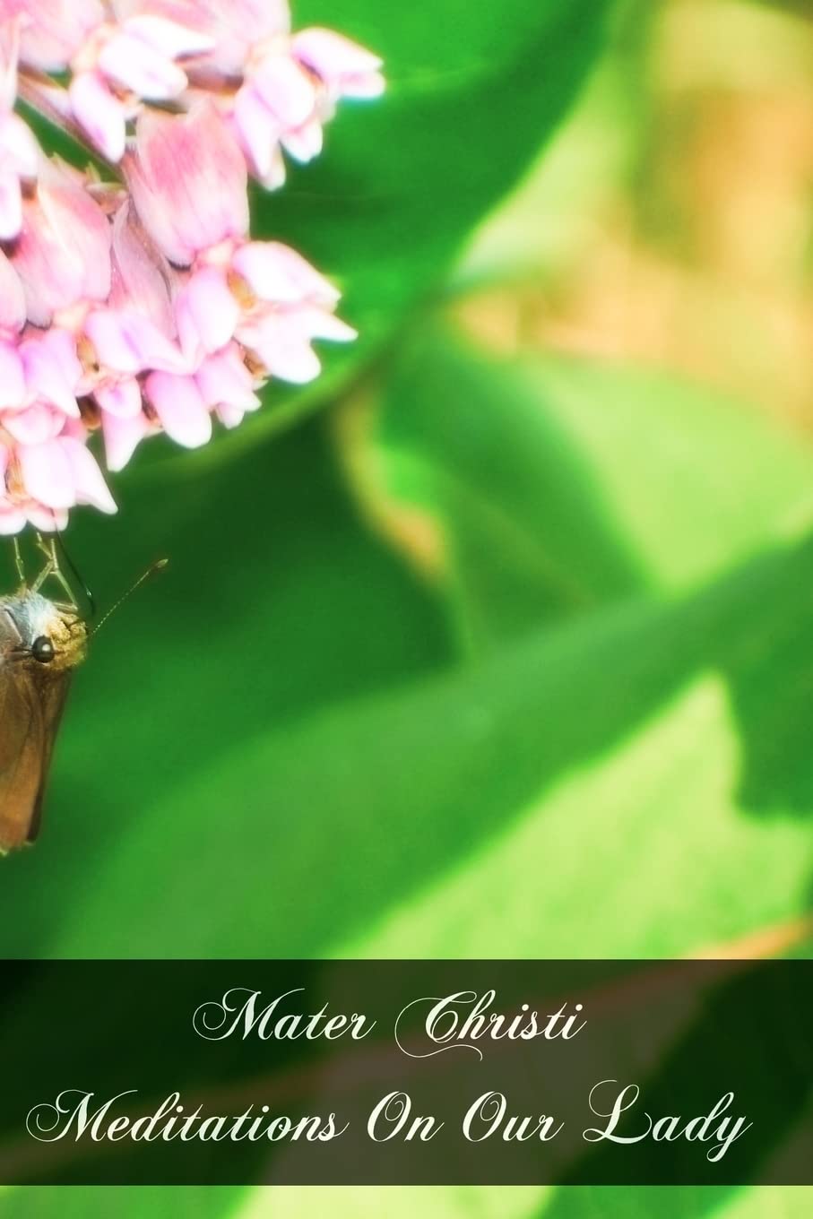 Mater Christi Meditations On Our Lady,Used