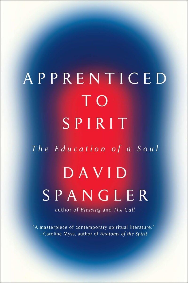 Apprenticed To Spirit: The Education of a Soul,Used