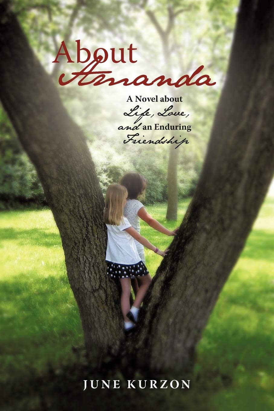 About Amanda: A Novel About Life, Love, And An Enduring Friendship,Used