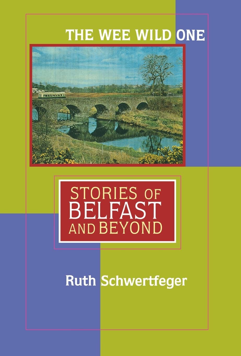 The Wee Wild One: Stories of Belfast and Beyond (Irish Studies in Literature and Culture),New