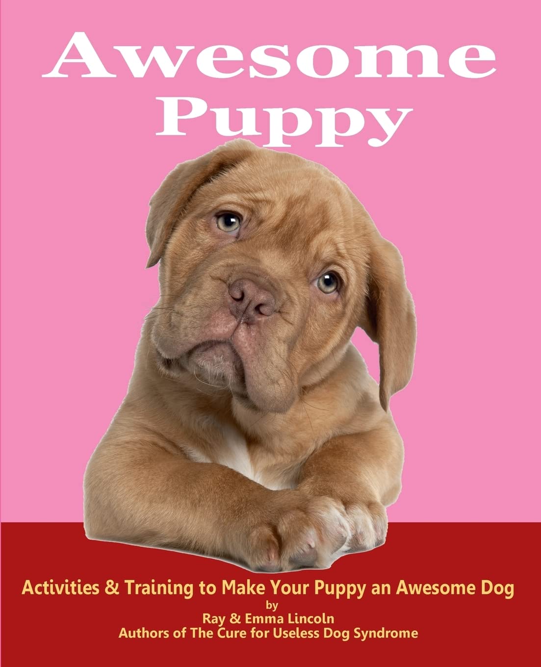 Awesome Puppy: Activities & Training To Make Your Puppy An Awesome Dog,New