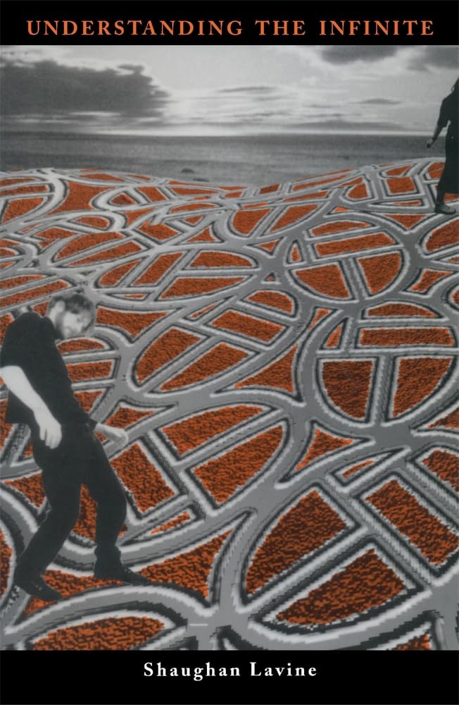 Understanding The Infinite,New