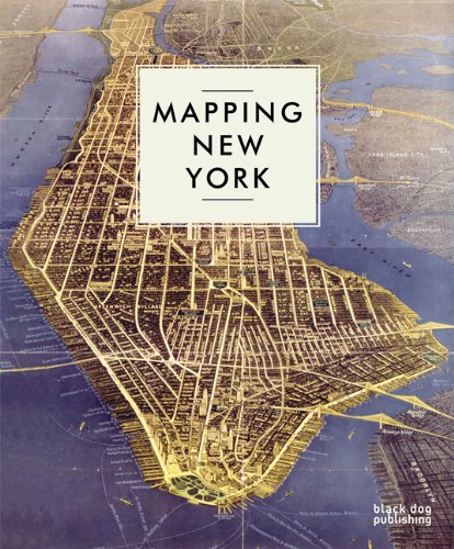 Mapping New York,Used