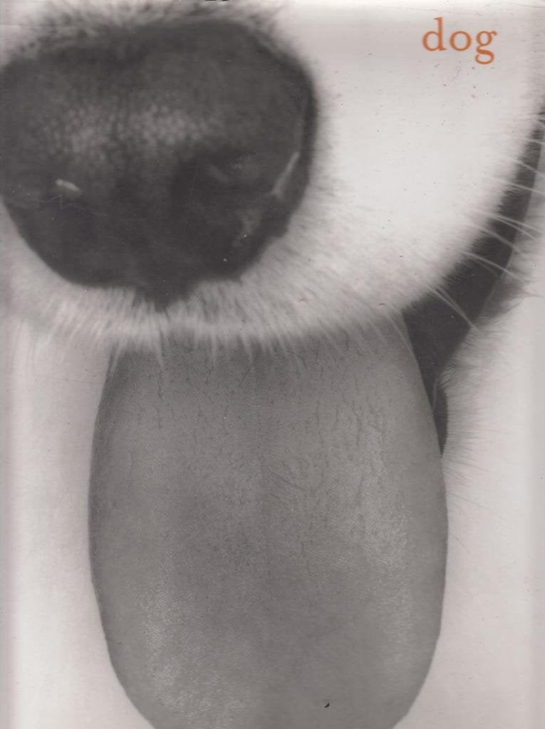 Dog,Used