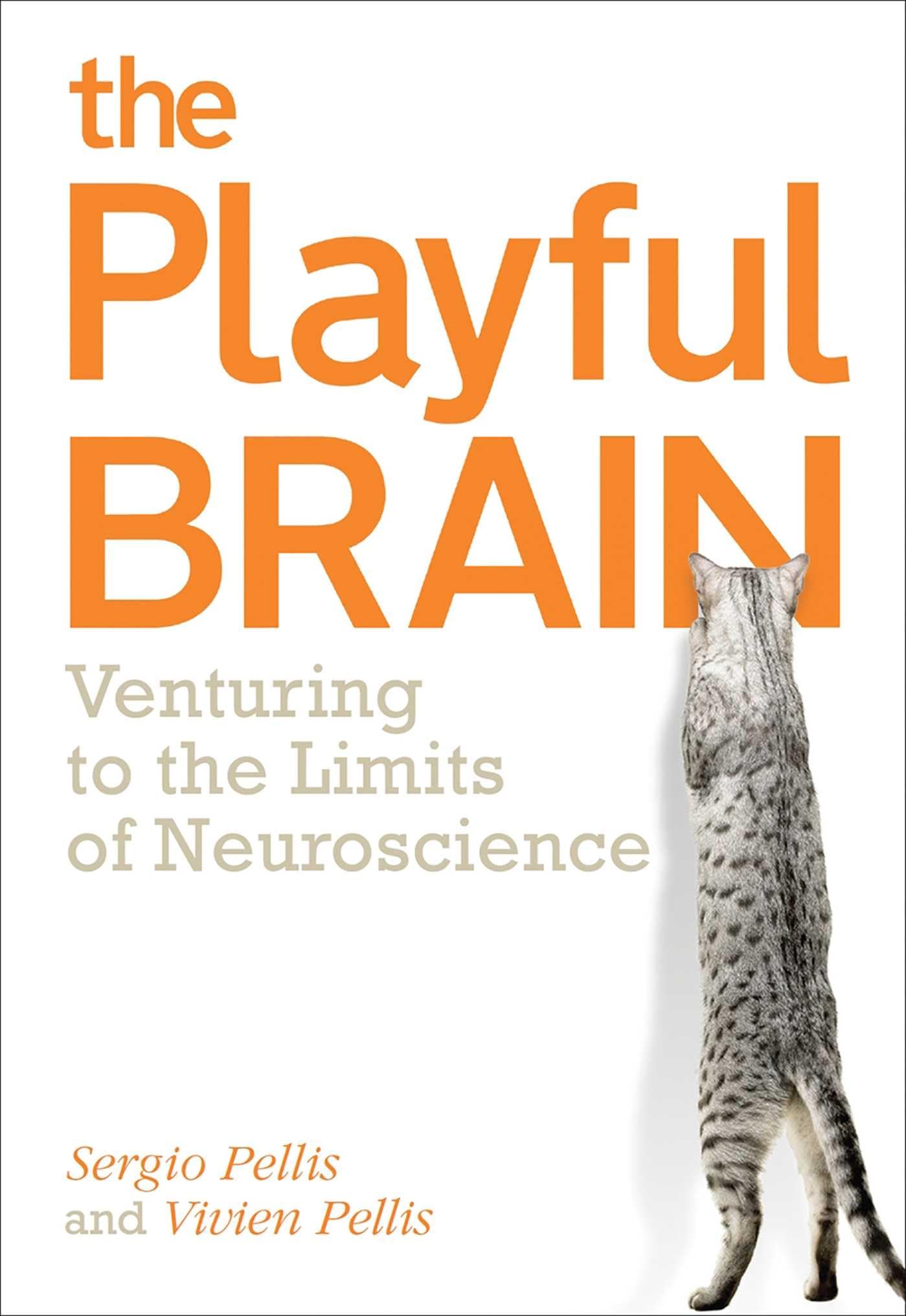 The Playful Brain: Venturing to the Limits of Neuroscience,Used