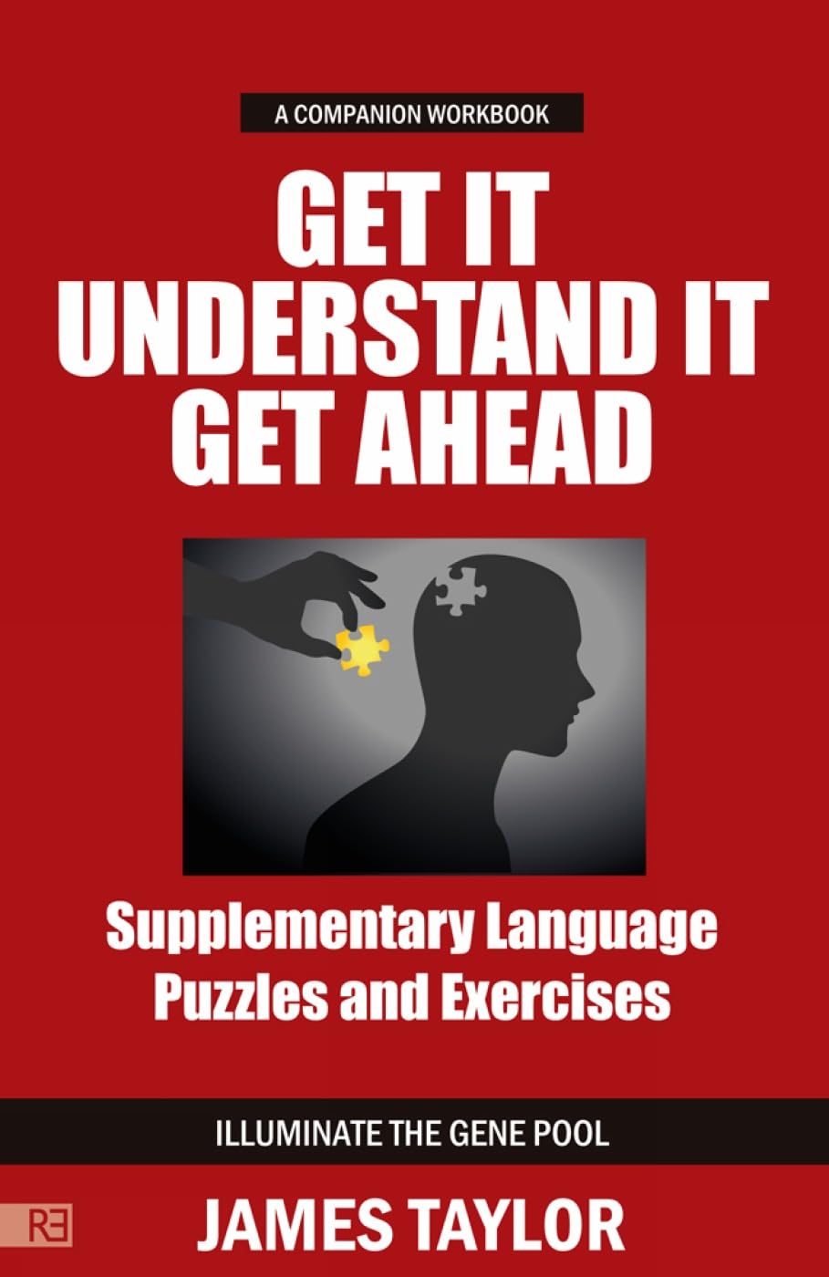Get It, Understand It, Get Ahead (a companion workbook): Supplementary Language Puzzles and Exercises,Used