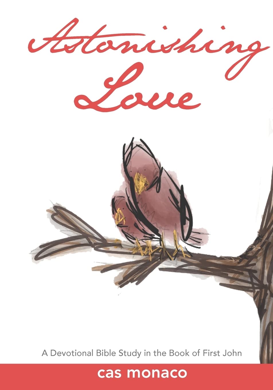 Astonishing Love: A Devotional Bible Study On The Book Of I John,Used