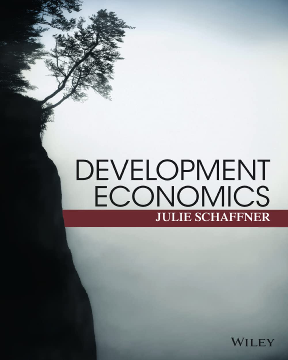 Development Economics: Theory, Empirical Research, And Policy Analysis