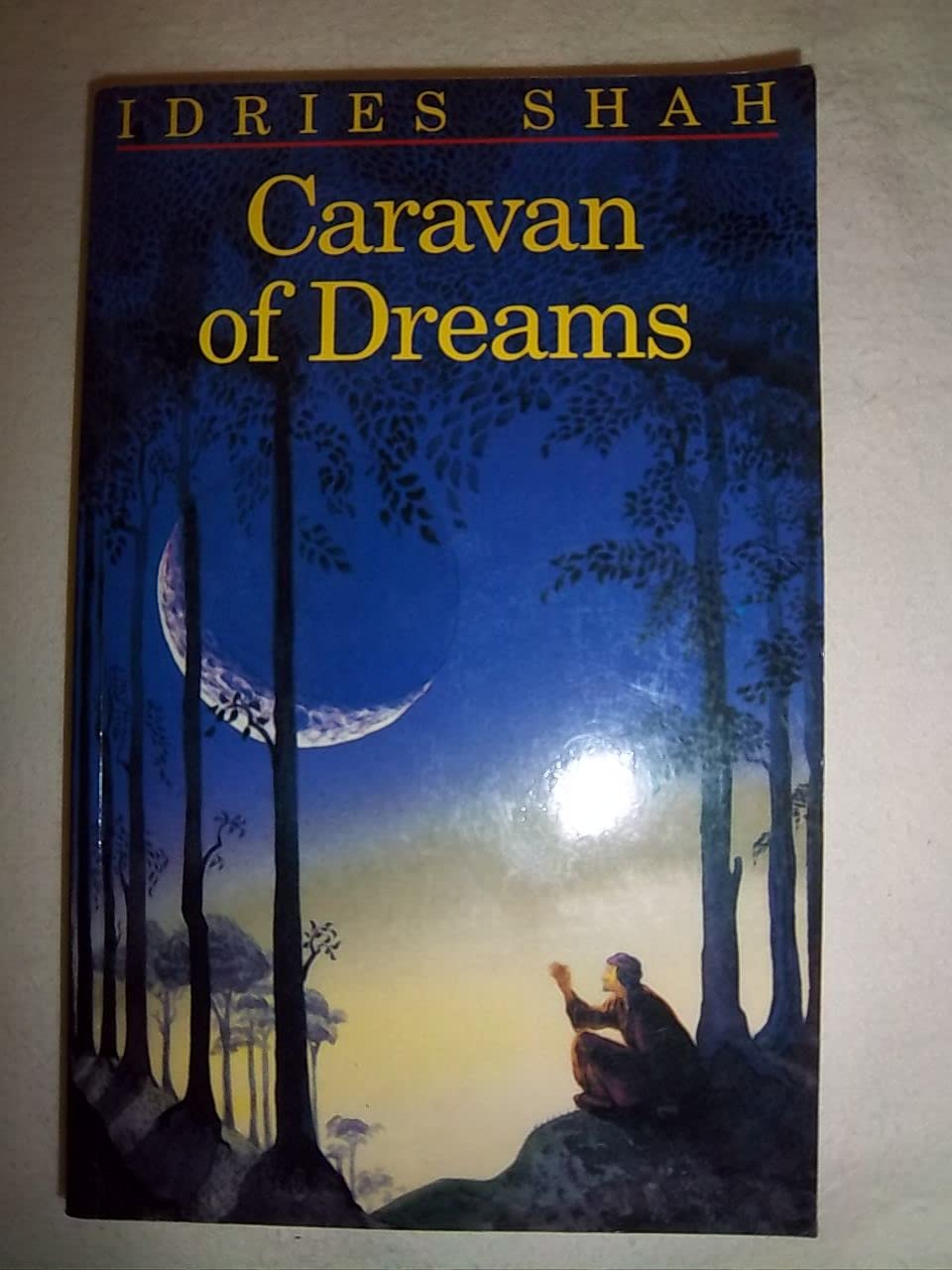 Caravan Of Dreams,New