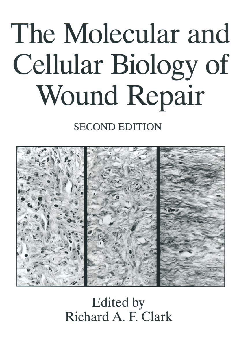 The Molecular and Cellular Biology of Wound Repair (The Language of Science),Used