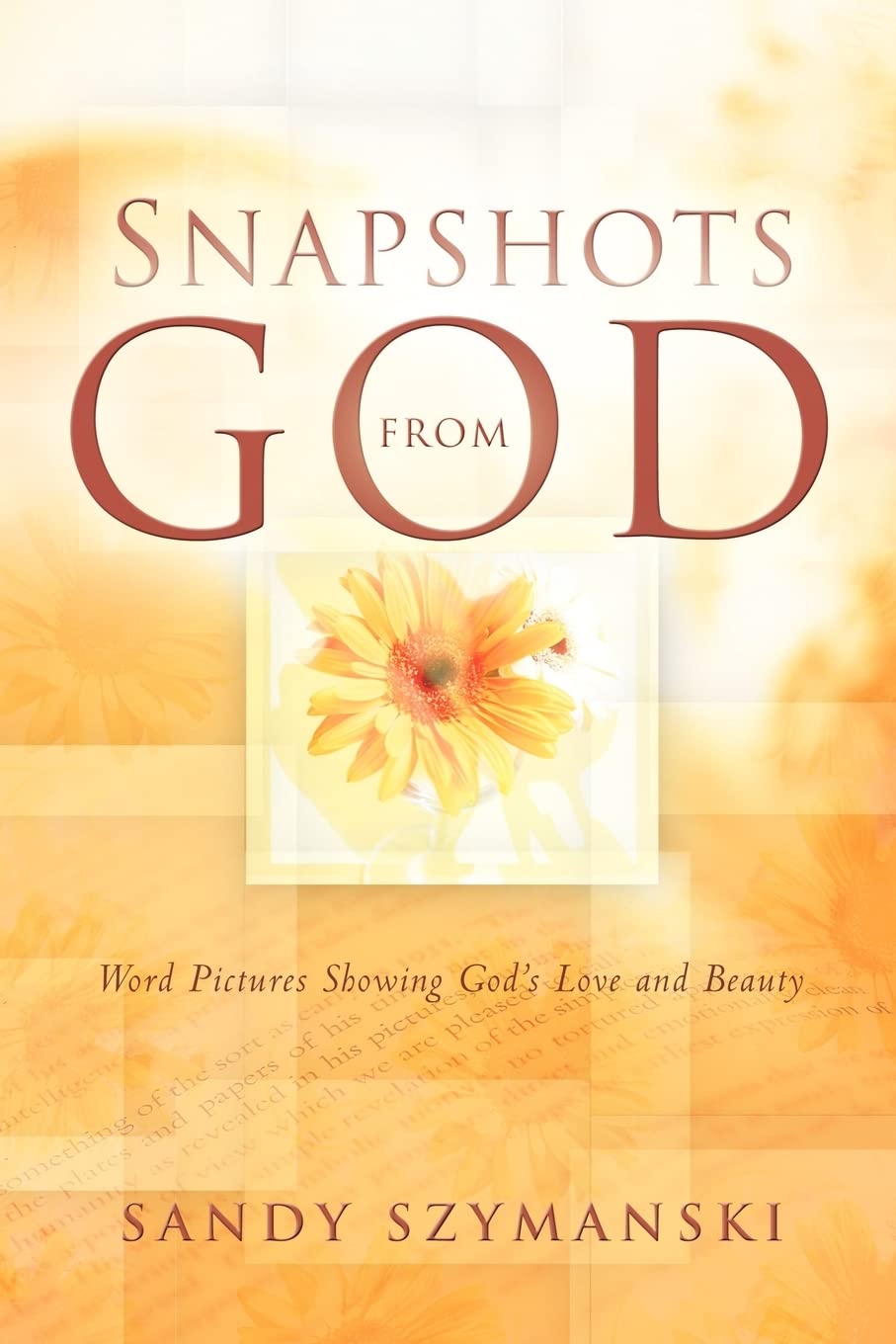 Snapshots From God,Used