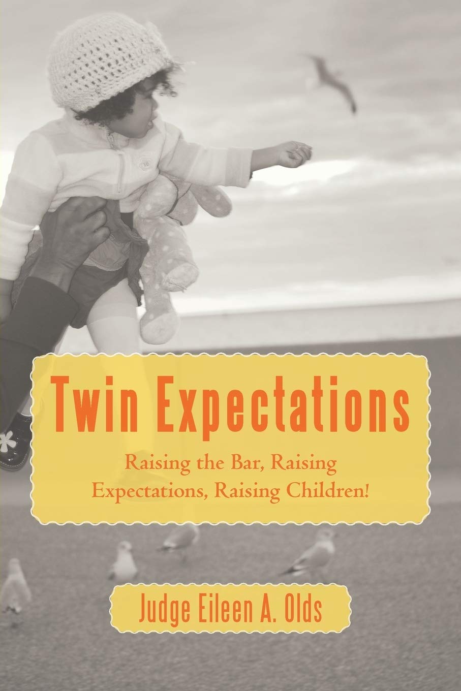 Twin Expectations: Raising the Bar, Raising Expectations, Raising Children!,Used