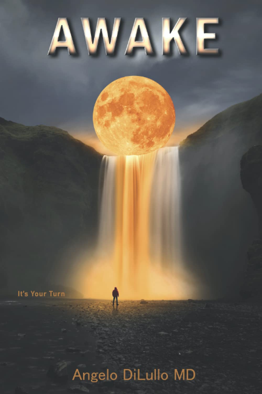 Awake: Its Your Turn,Used
