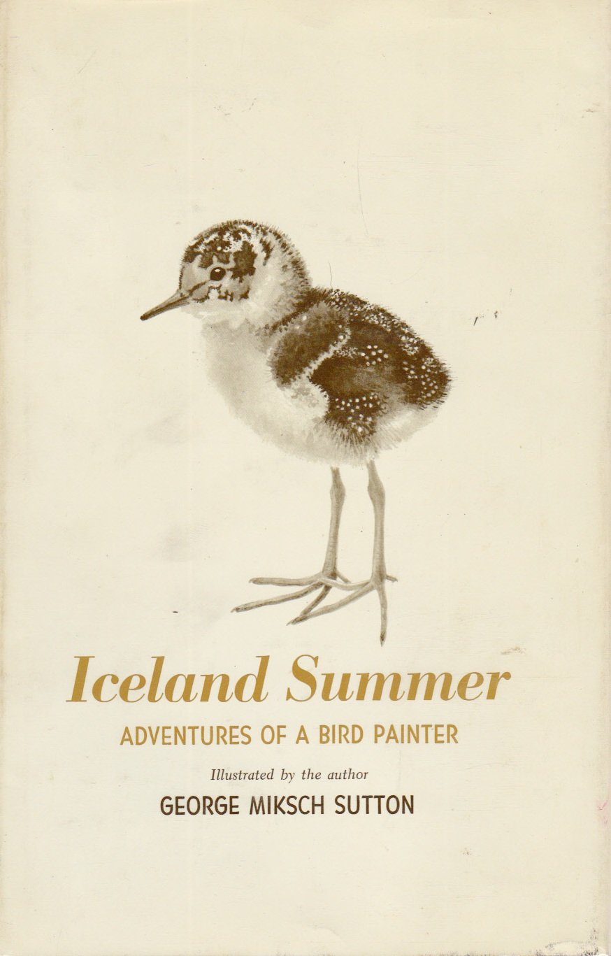 Iceland Summer: Adventures Of A Bird Painter,Used