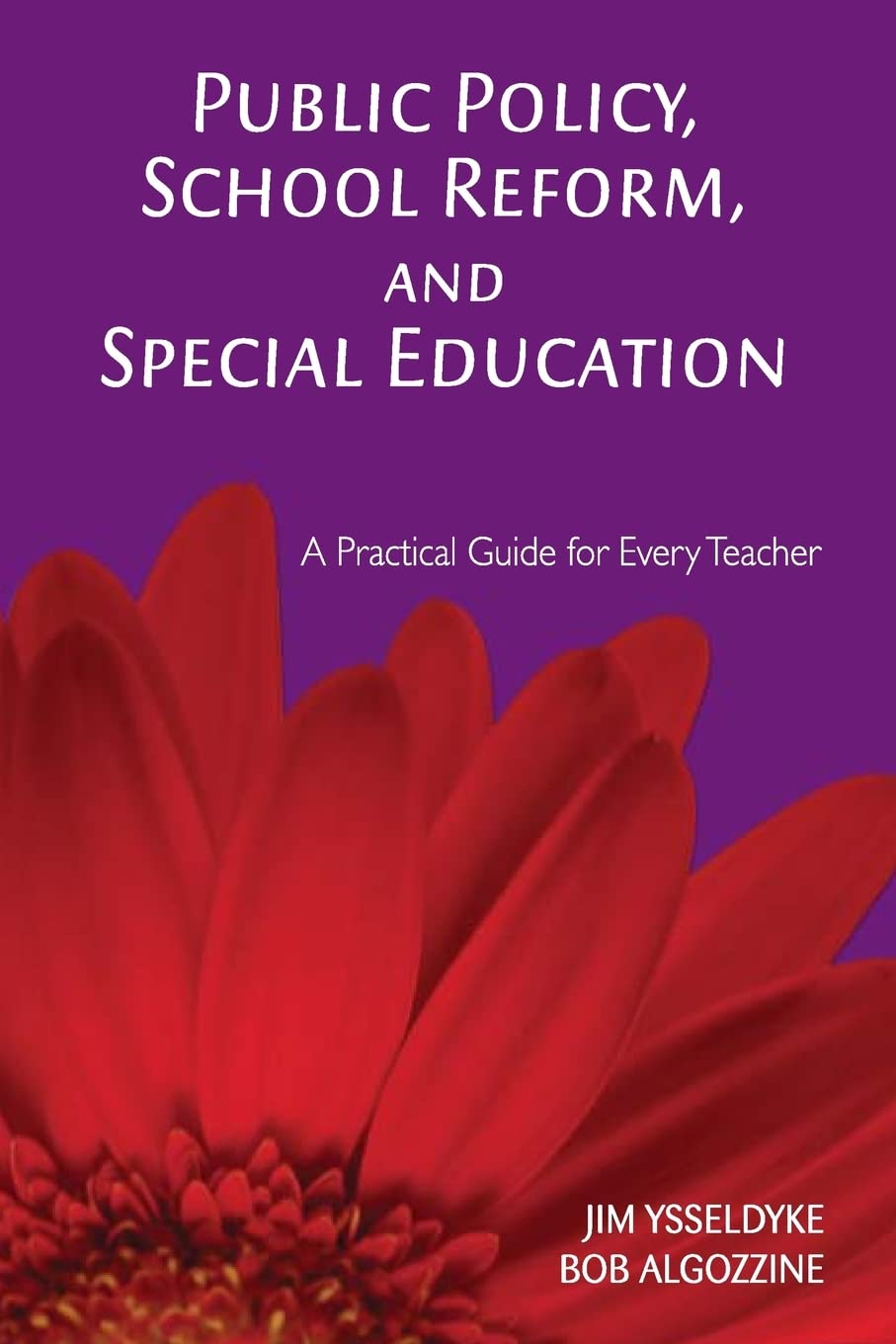 Public Policy, School Reform, and Special Education: A Practical Guide for Every Teacher,Used