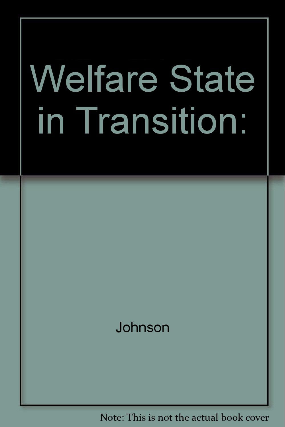 The Welfare State in Transition: The Theory and Practice of Welfare Pluralism,Used