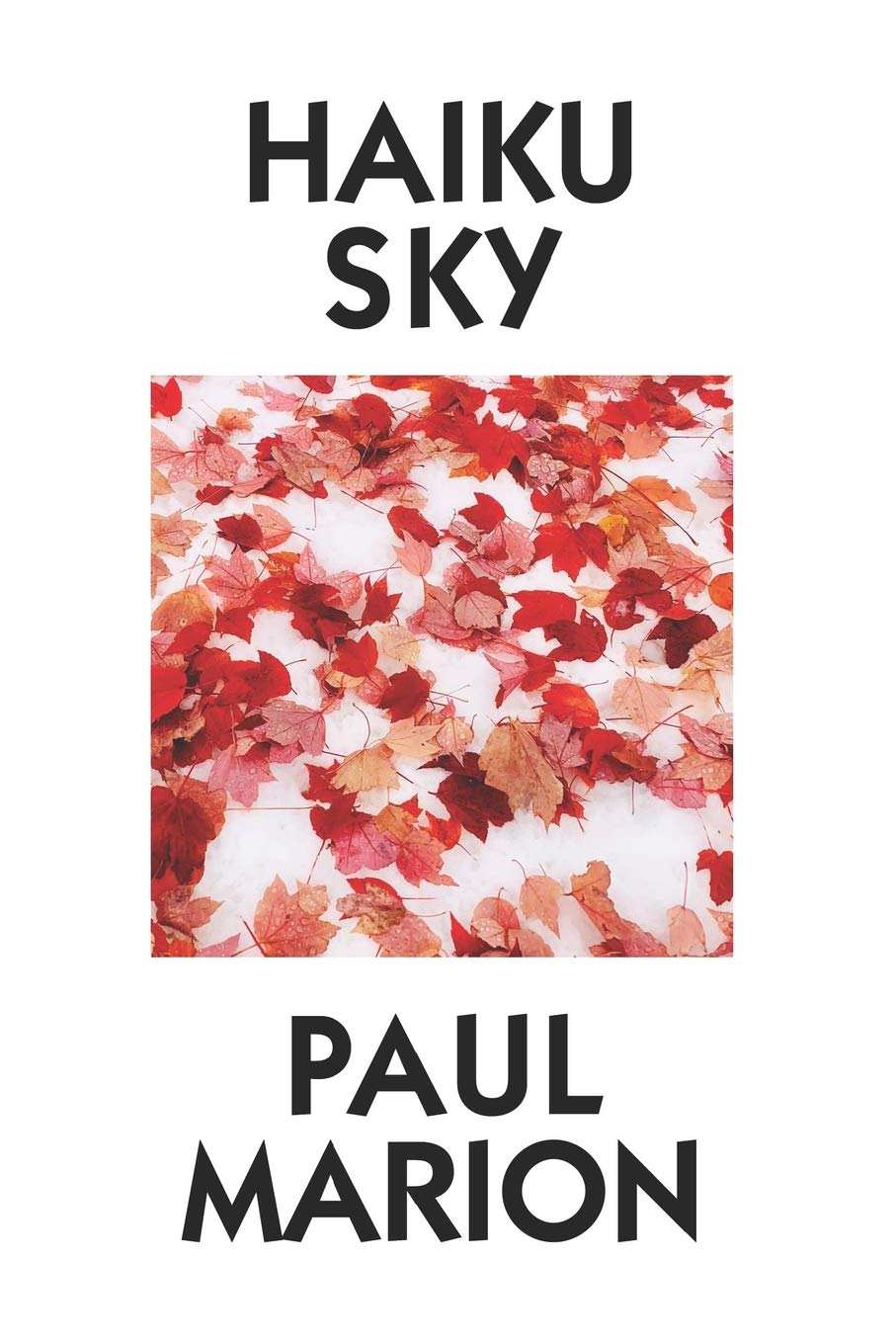 Haiku Sky by Paul Marion: Super Large Print Edition Specially Designed for Low Vision Readers with a Giant Easy to Read Font,Used