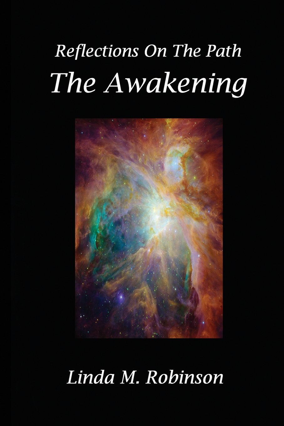 Reflections On The Path: The Awakening,Used