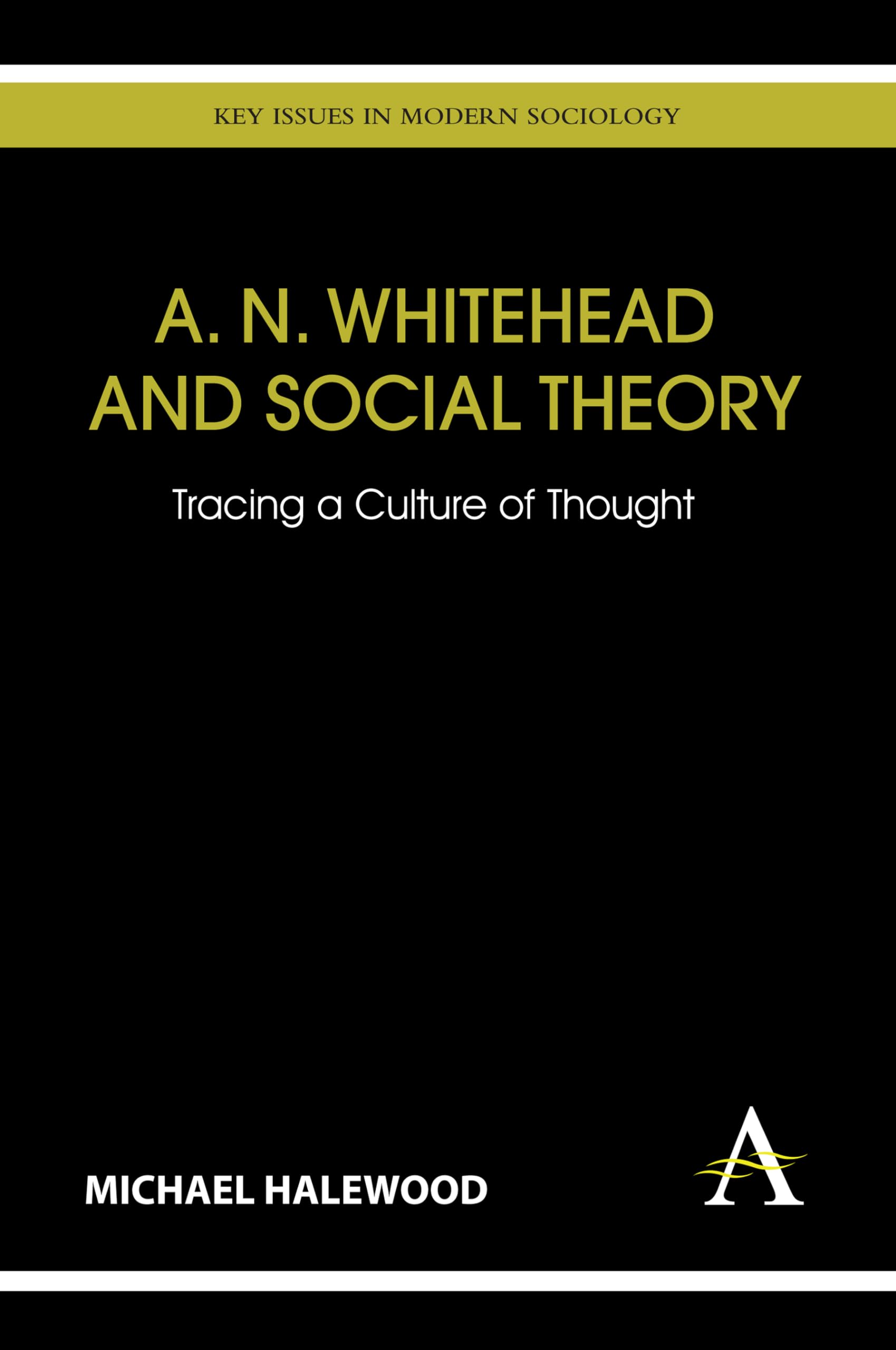 A. N. Whitehead And Social Theory: Tracing A Culture Of Thought (Key Issues In Modern Sociology),Used