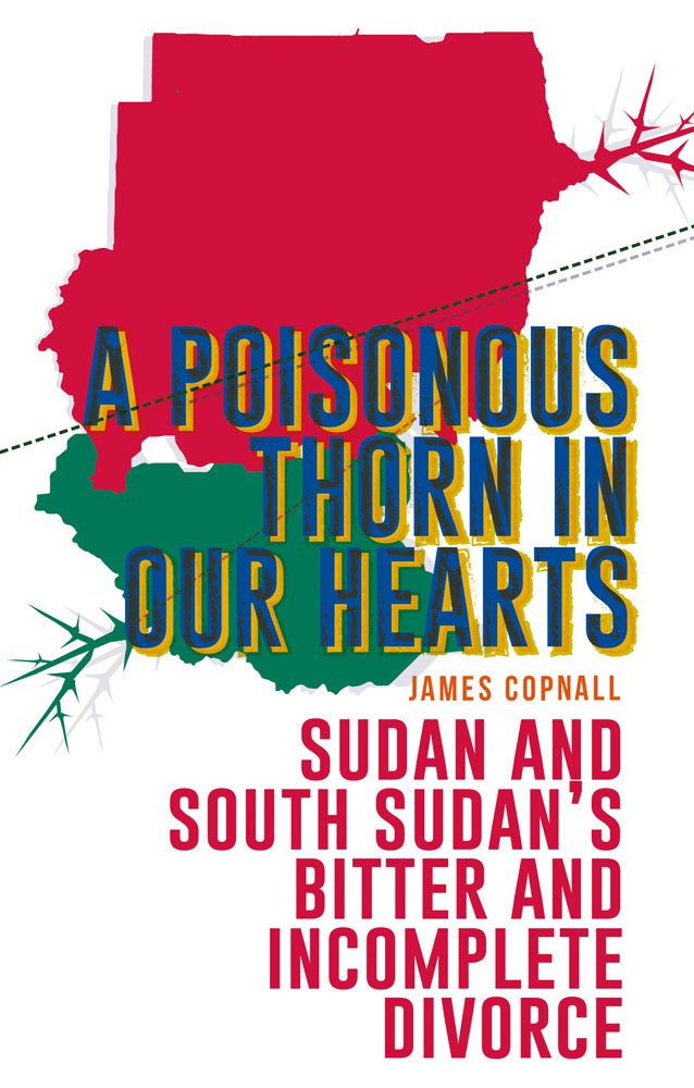A Poisonous Thorn in Our Hearts: Sudan and South Sudan's Bitter and Incomplete Divorce,Used