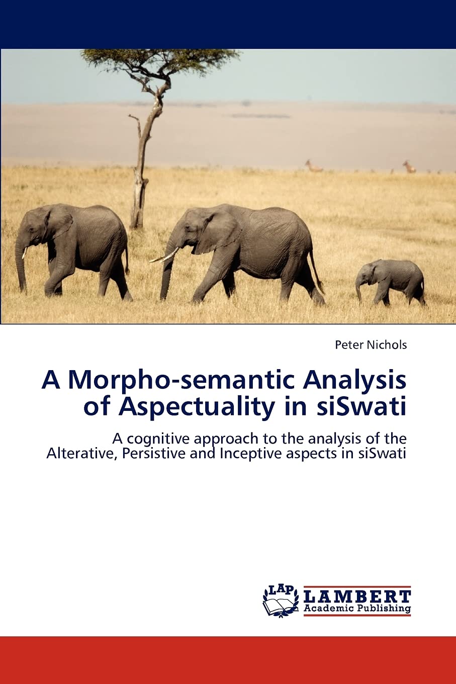 A Morphosemantic Analysis of Aspectuality in siSwati: A cognitive approach to the analysis of the Alterative, Persistive and In,Used
