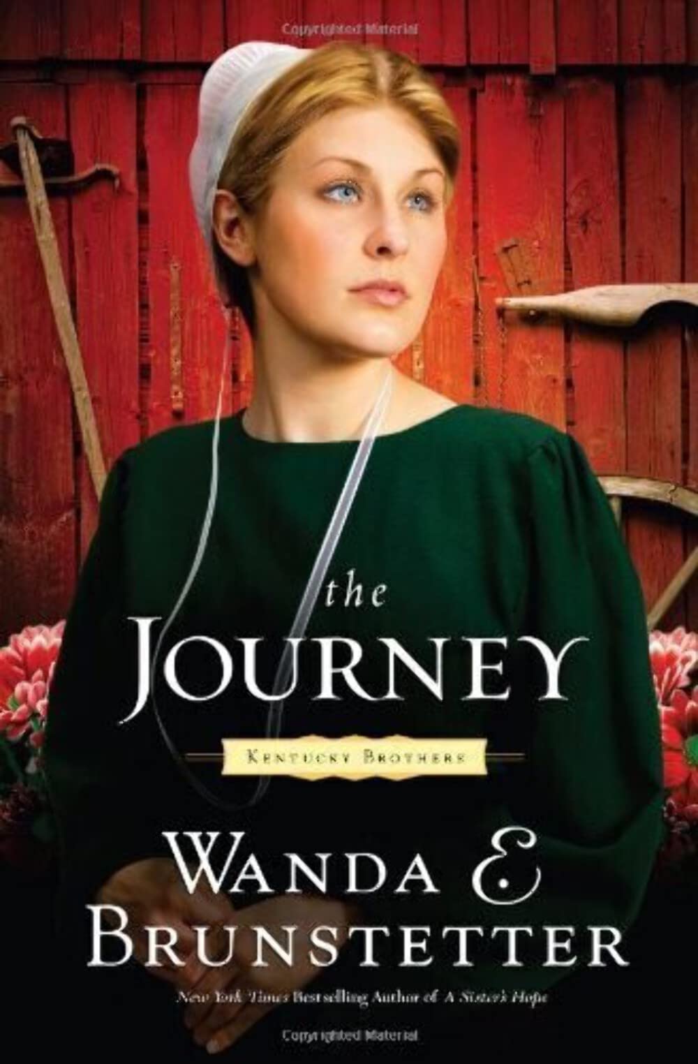 The Journey (Volume 1) (Kentucky Brothers),Used
