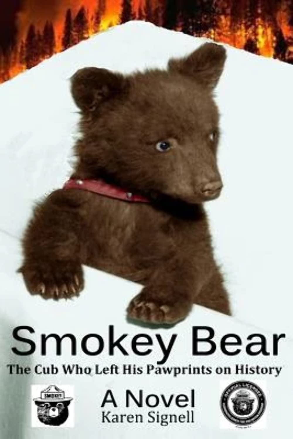Smokey Bear: The Cub Who Left His Pawprints On History