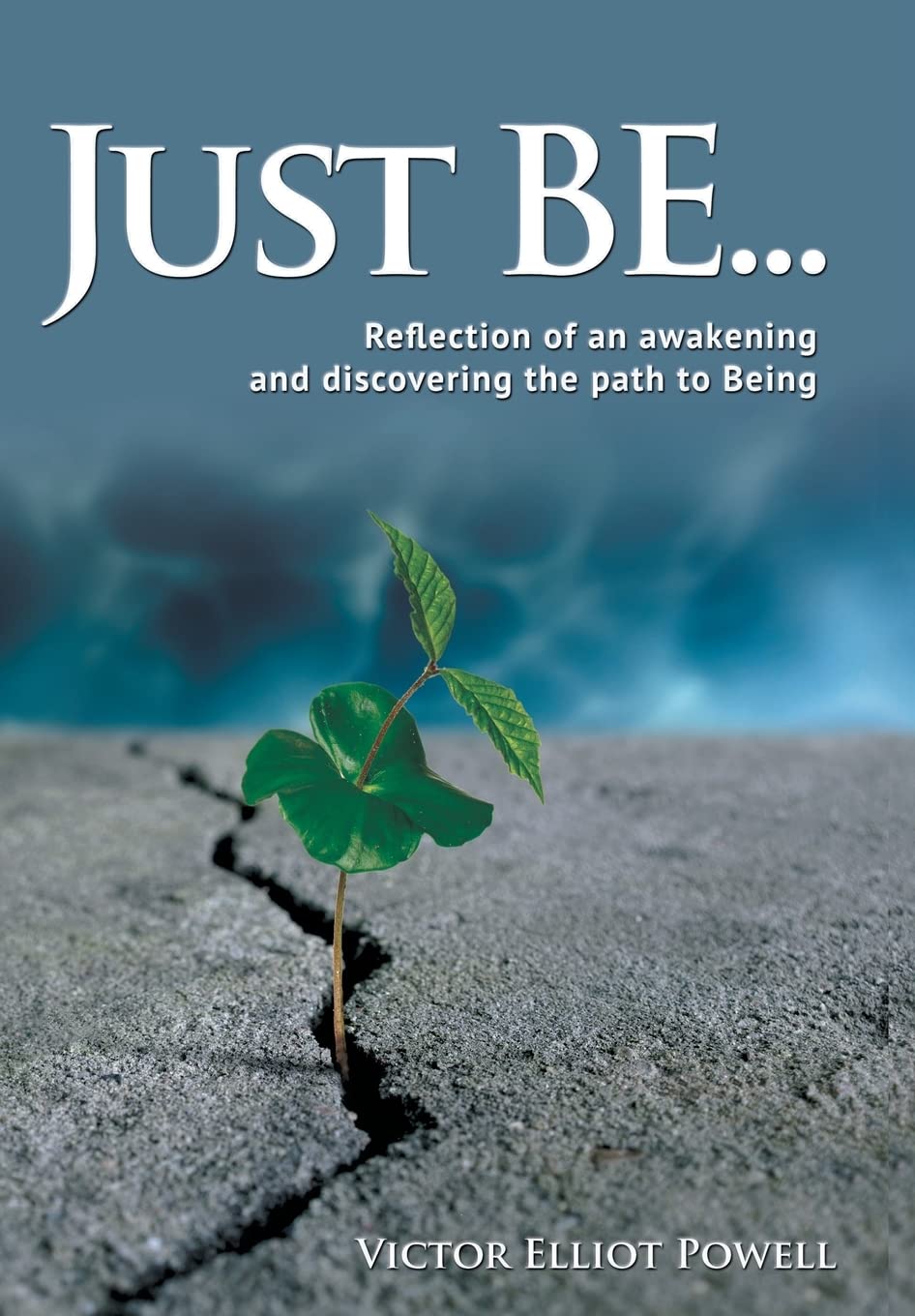 Just Be...: Reflection Of An Awakening And Discovering The Path To Being,Used