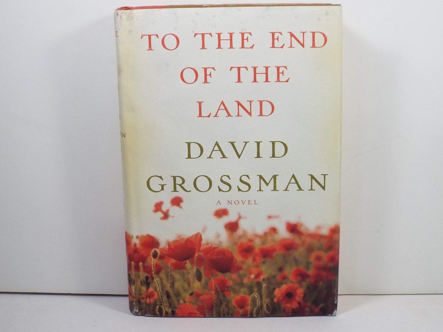 To The End Of The Land,New