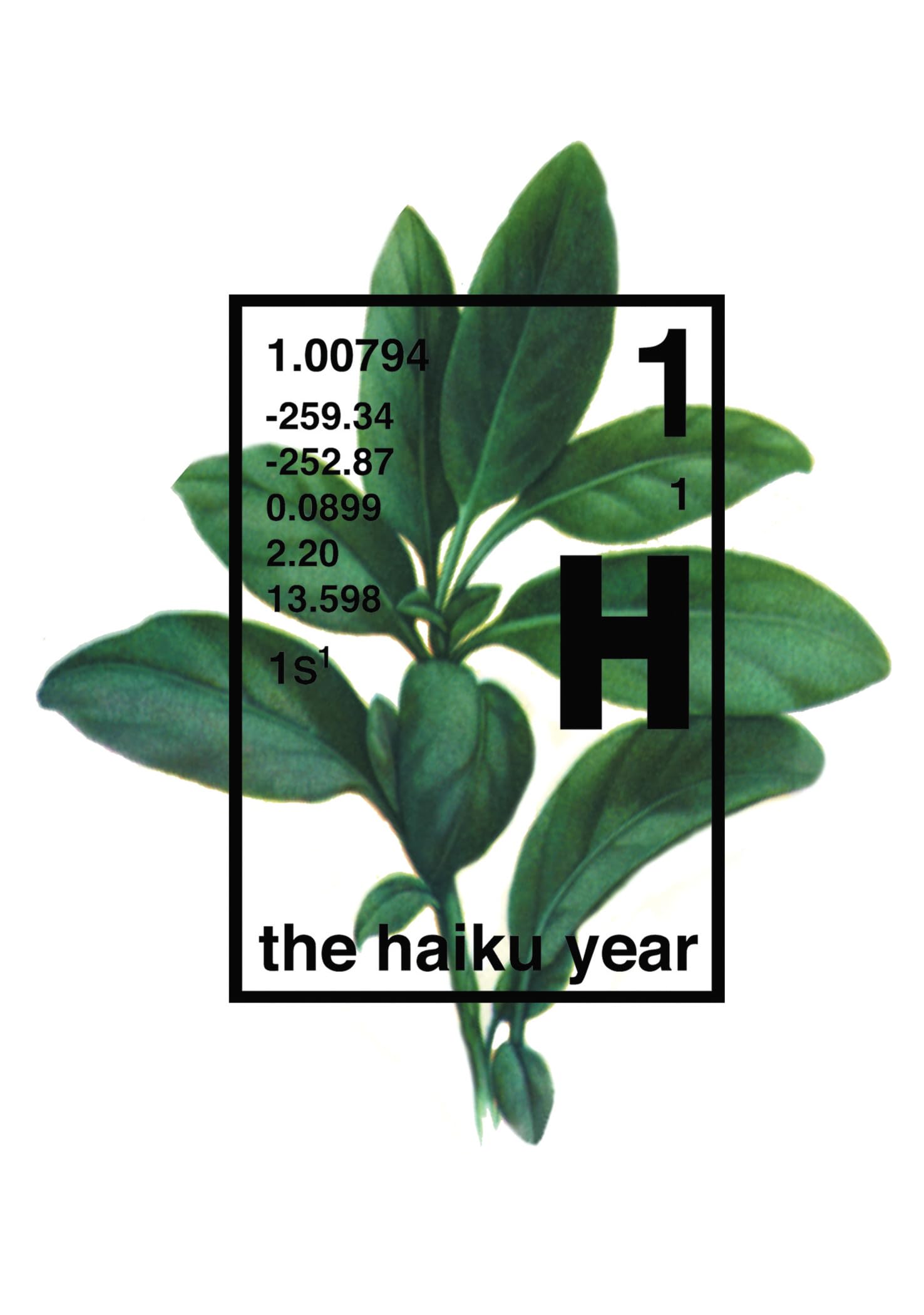 The Haiku Year,Used