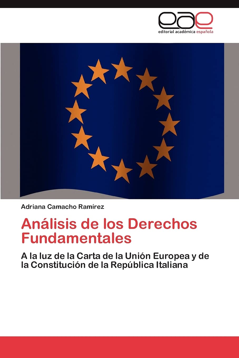 Anlisis de los Derechos Fundamentales: A la luz de la Carta de la Unin Europea y de la Constitucin de la Repblica Italia,Used