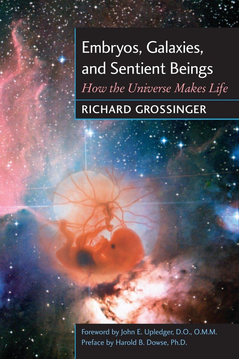 Embryos, Galaxies, And Sentient Beings: How The Universe Makes Life