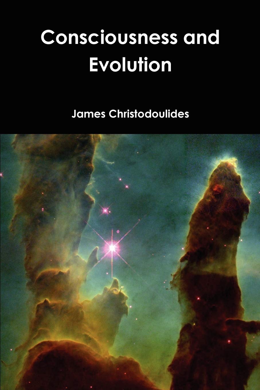 Consciousness And Evolution,Used