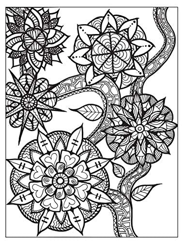 Zendala Coloring Book (Dover Mandala Coloring Books),Used