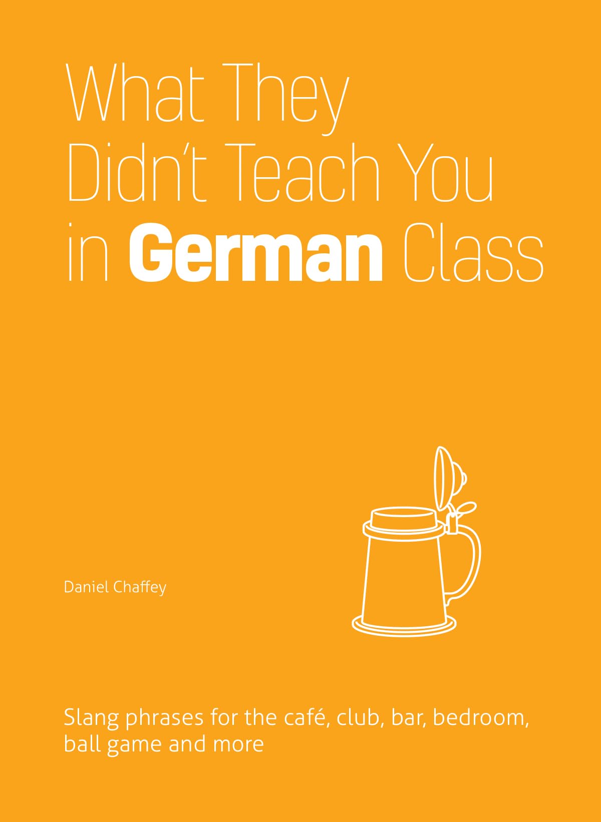 What They Didn't Teach You in German Class: Slang Phrases for the Cafe, Club, Bar, Bedroom, Ball Game and More (Dirty Everyday S,Used