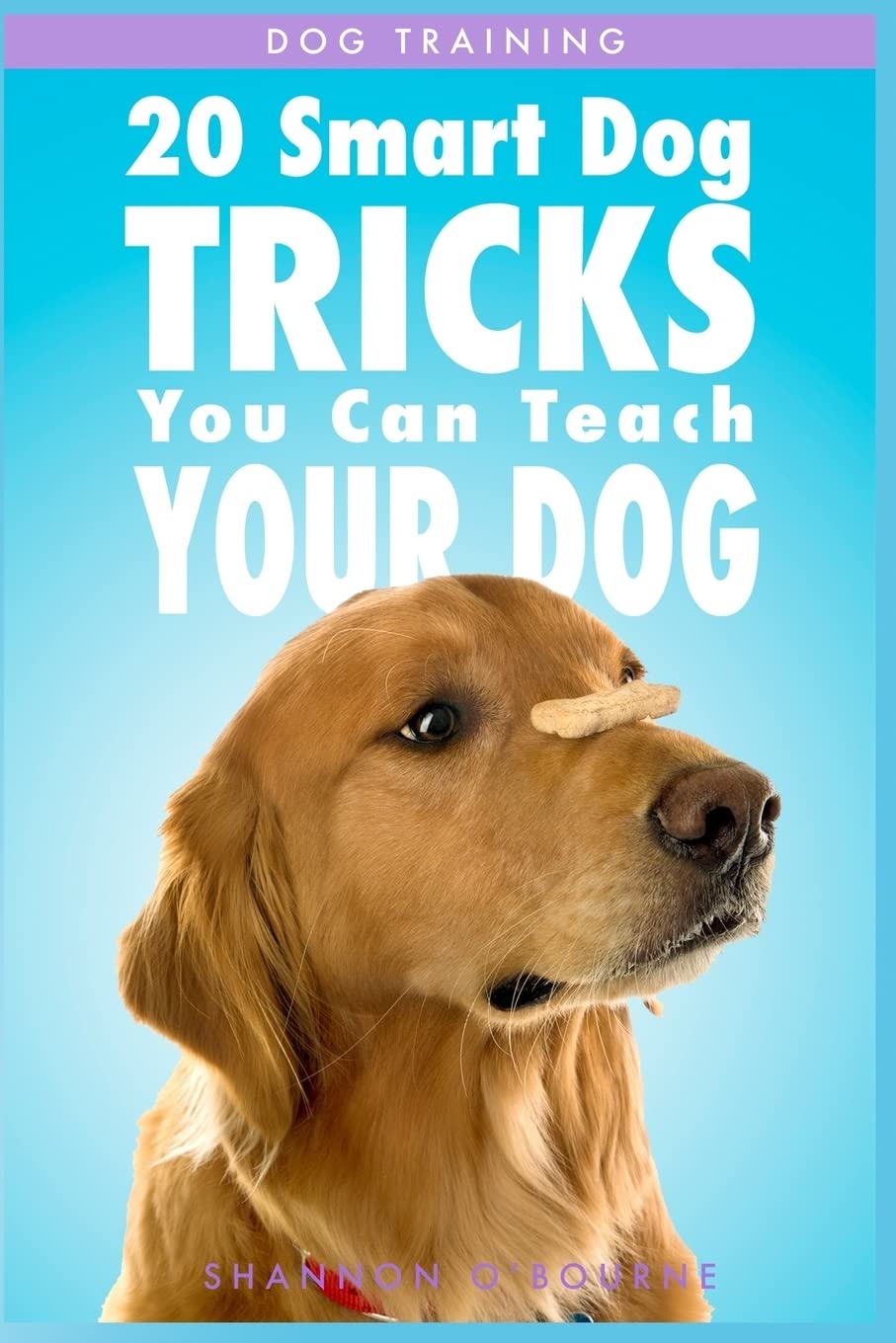 Dog Training: 20 Smart Dog Tricks You Can Teach Your Dog (Dog Training Book),Used
