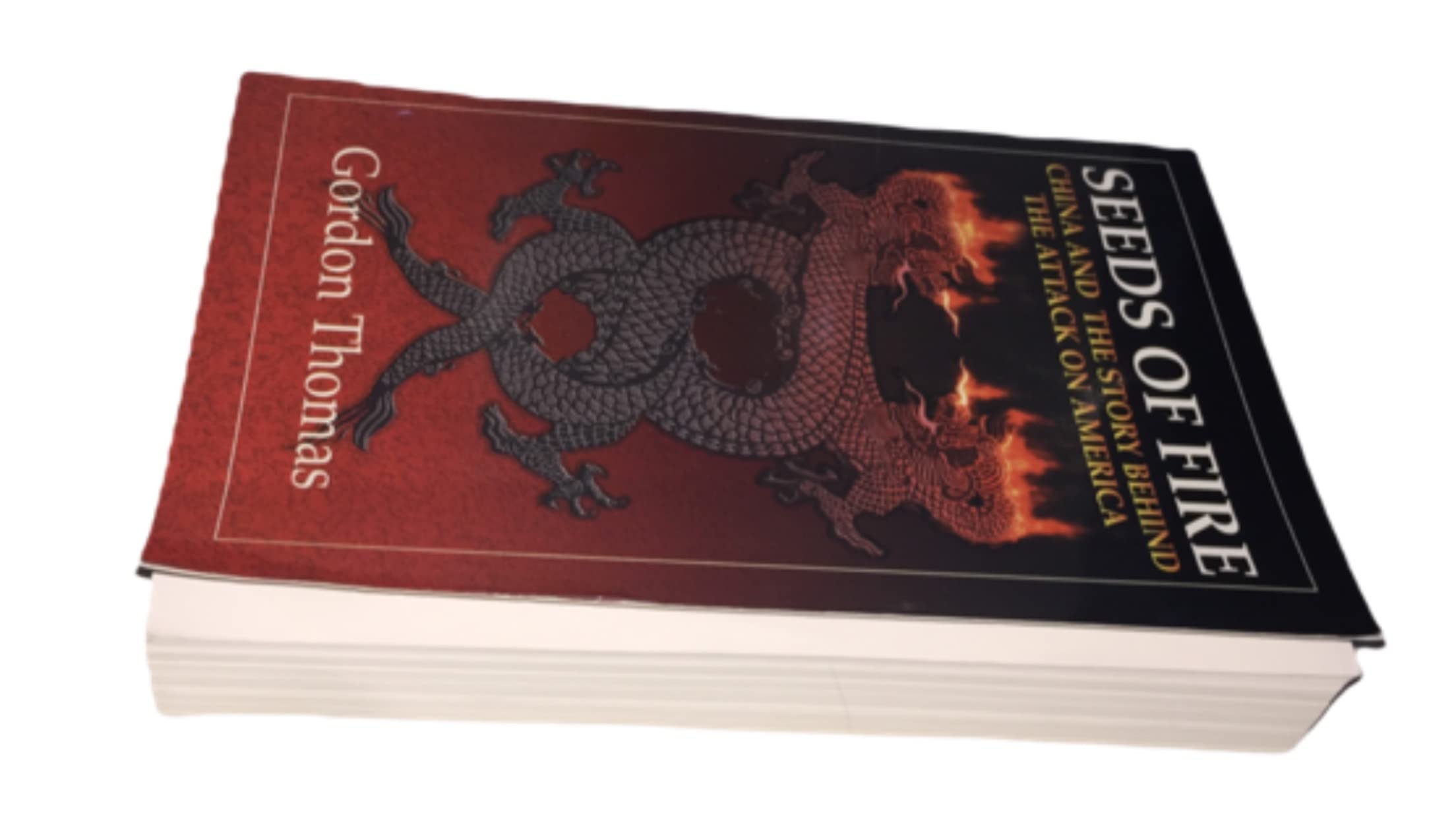 Seeds Of Fire: China And The Story Behind The Attack On America