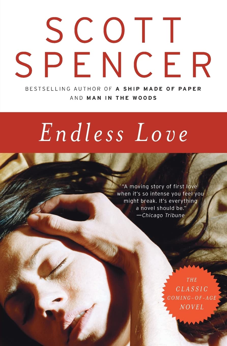Endless Love: A Novel,Used