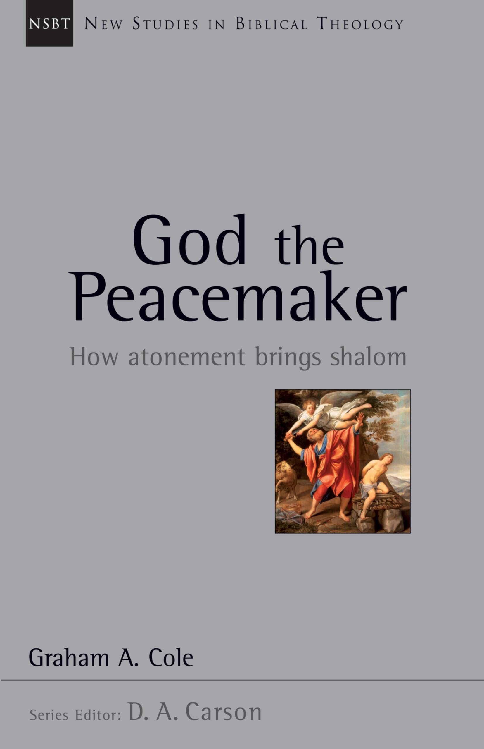 God the Peacemaker: How Atonement Brings Shalom (Volume 25) (New Studies in Biblical Theology),Used