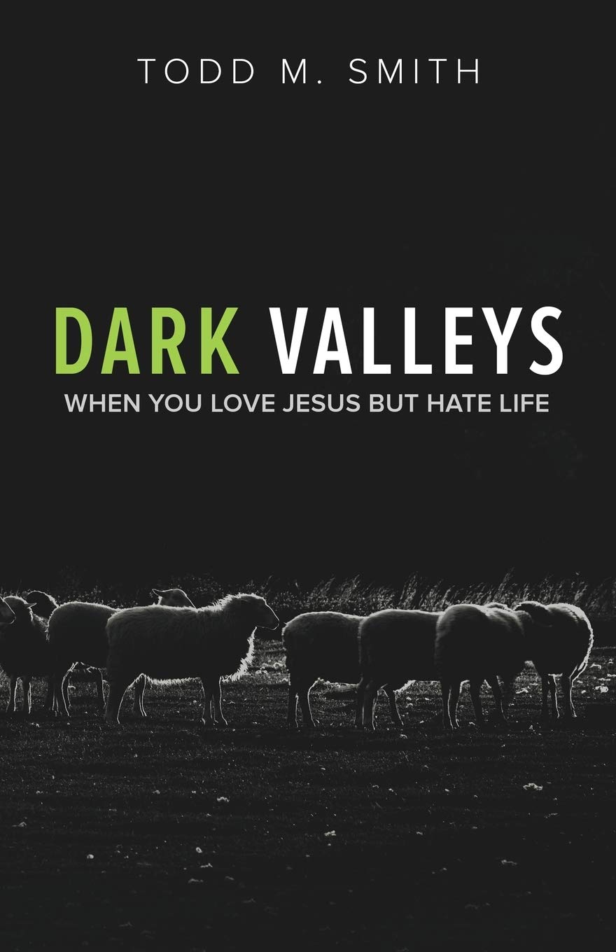 Dark Valleys: When You Love Jesus But Hate Life,Used