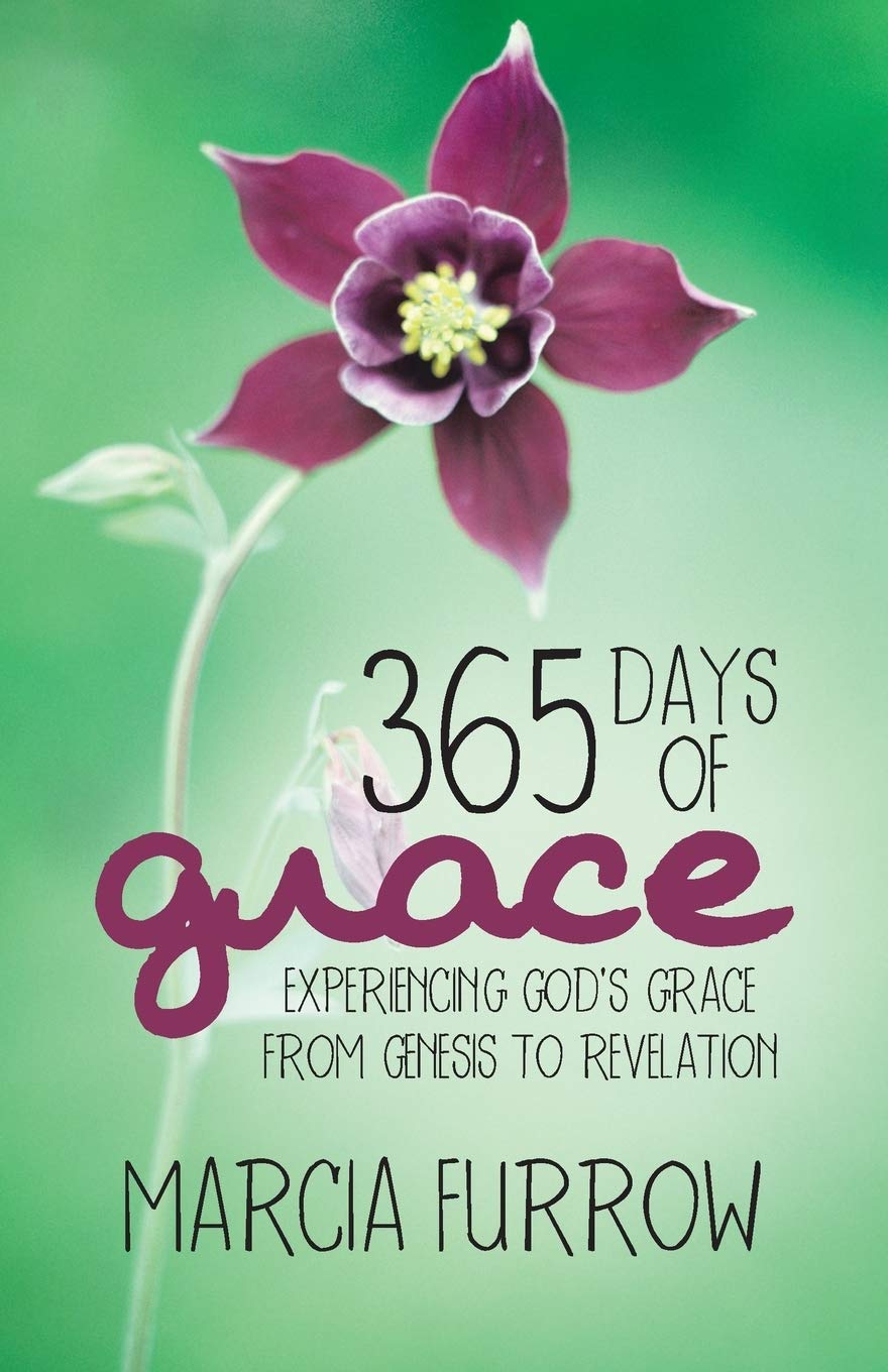 365 Days of Grace,Used