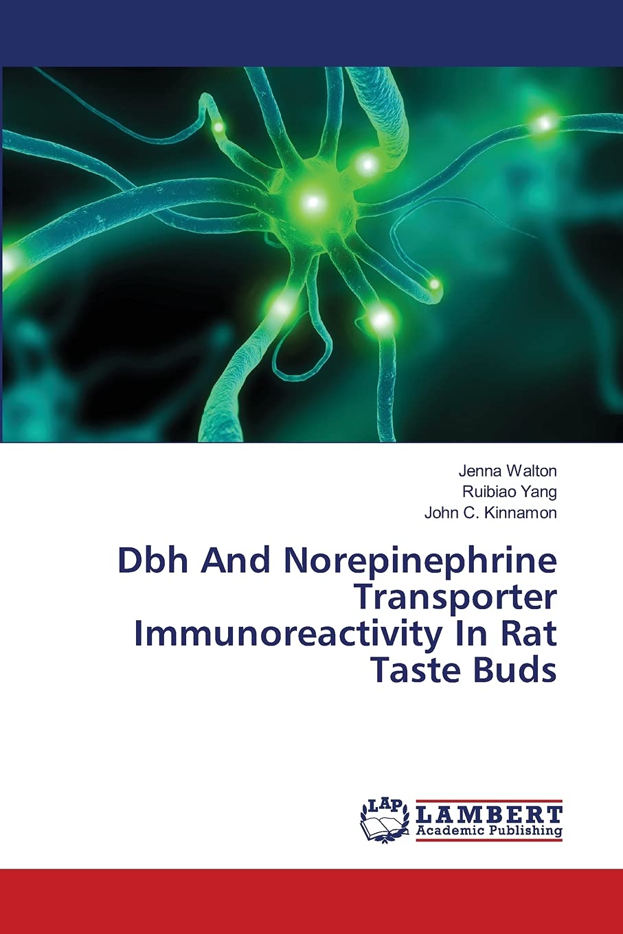 Dbh And Norepinephrine Transporter Immunoreactivity In Rat Taste Buds,Used