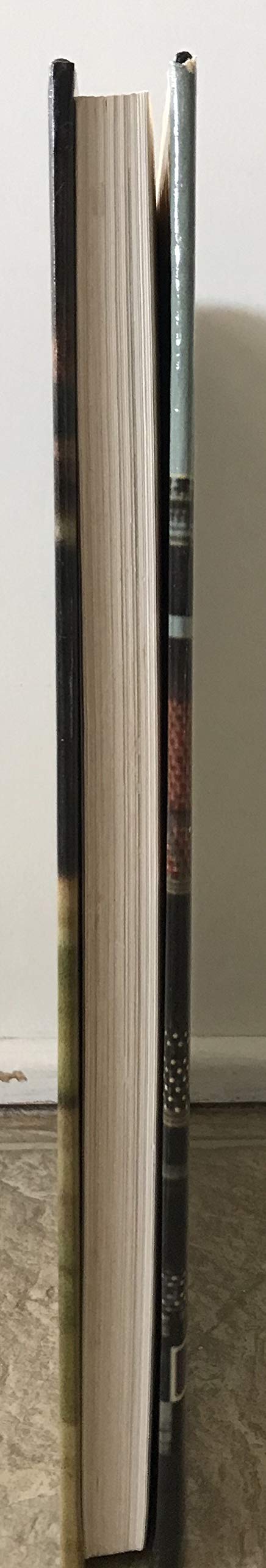 Art of Pitching,Used