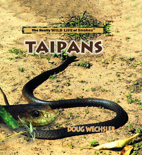 Taipans (The Really Wild Life of Snakes),Used