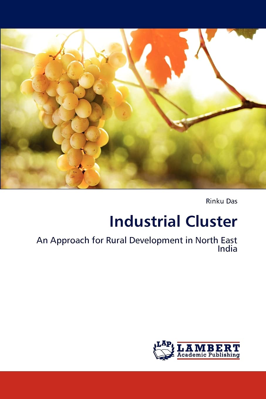 Industrial Cluster: An Approach for Rural Development in North East India,Used
