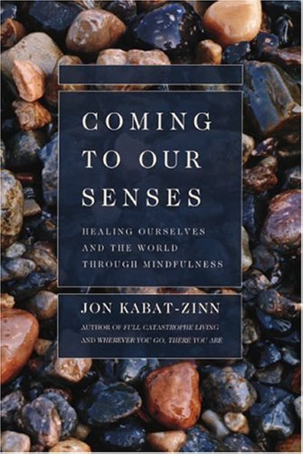 Coming To Our Senses: Healing Ourselves And The World Through Mindfulness,New